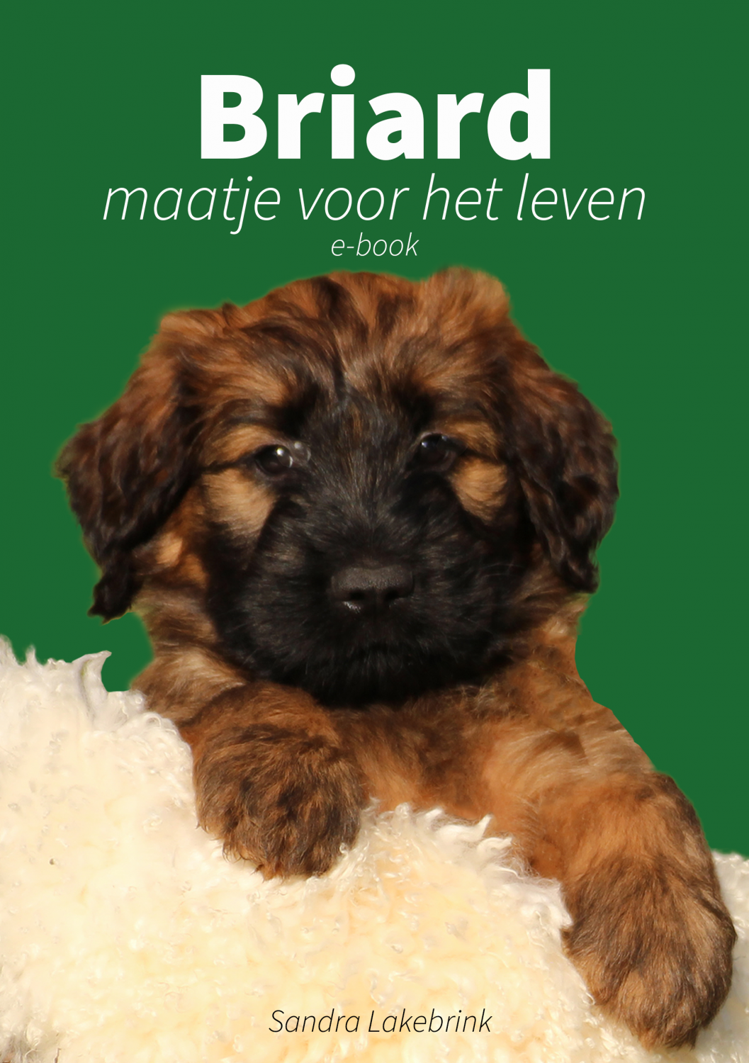 Briard, maatje voor het leven/Subscribe here for your English copy
